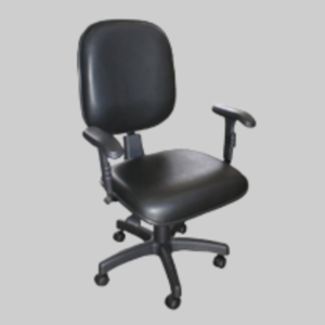 DIRETOR BACK SYSTEM C/ BRAÇO